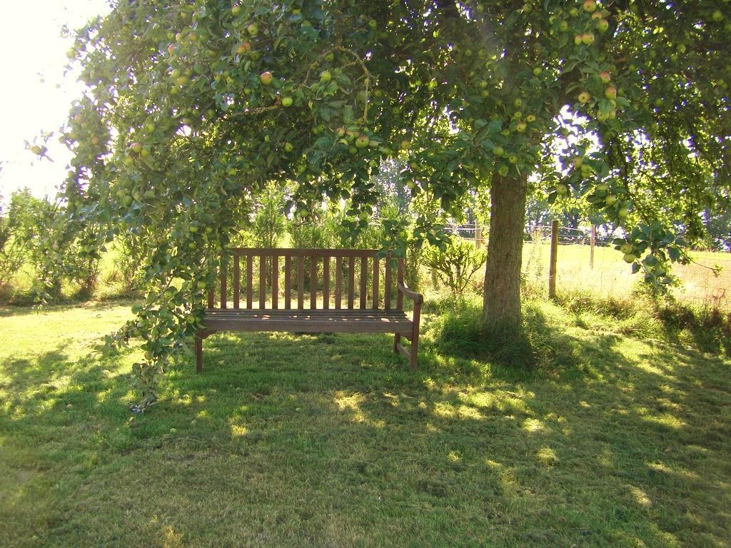 La Cloue Bed & Breakfast Sainte-Marie-du-Bois  Exterior foto