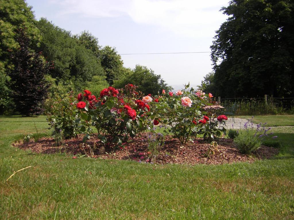 La Cloue Bed & Breakfast Sainte-Marie-du-Bois  Exterior foto